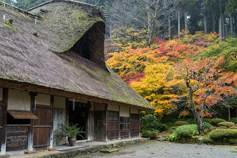 重厚感に満ちた茅葺屋根の坪川家