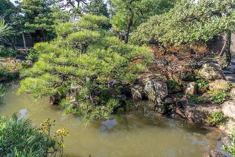 亀出島