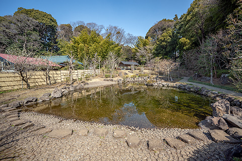 城山公園 日本庭園