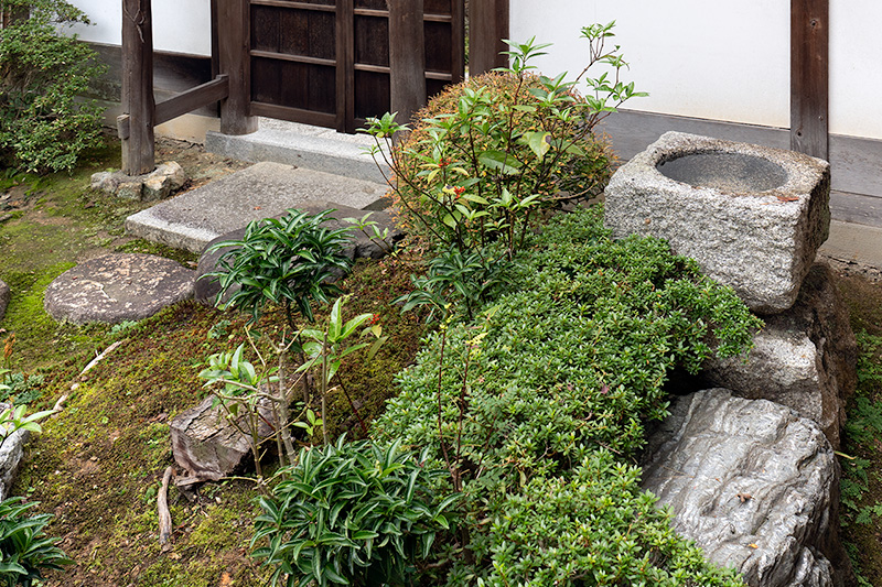 拝茟園