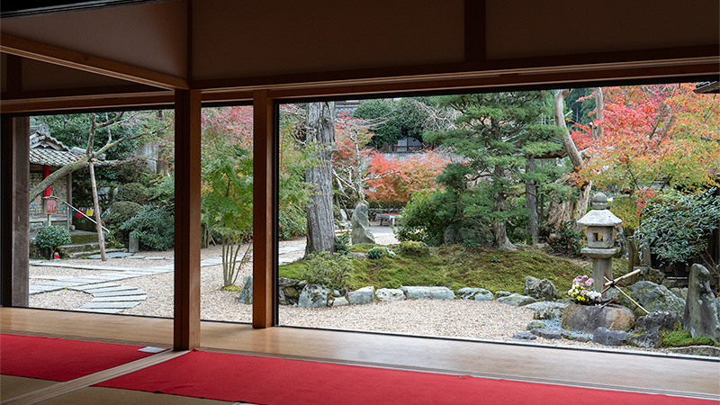 本堂からも枯山水を楽しめる