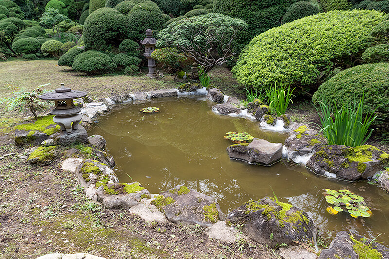 雨香庭　池泉