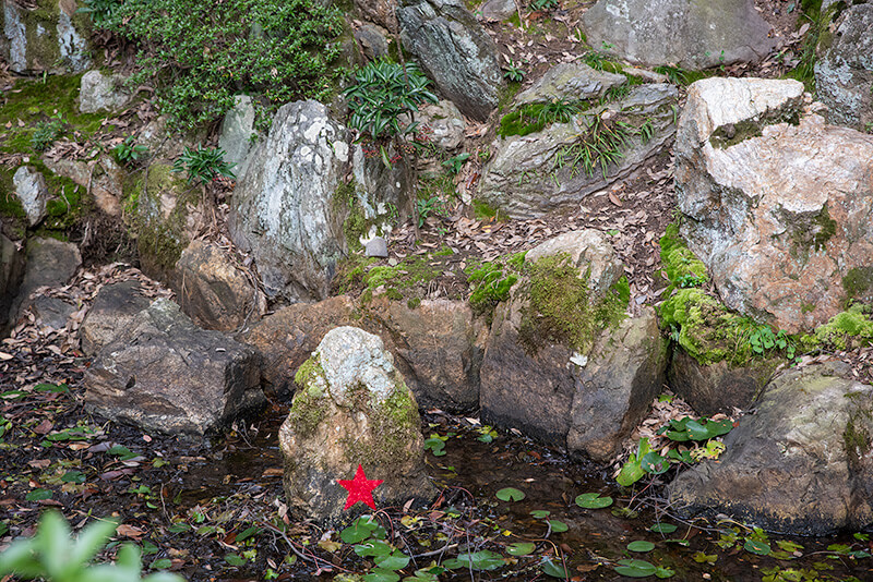 月輪殿庭園の滝石組　鯉魚石