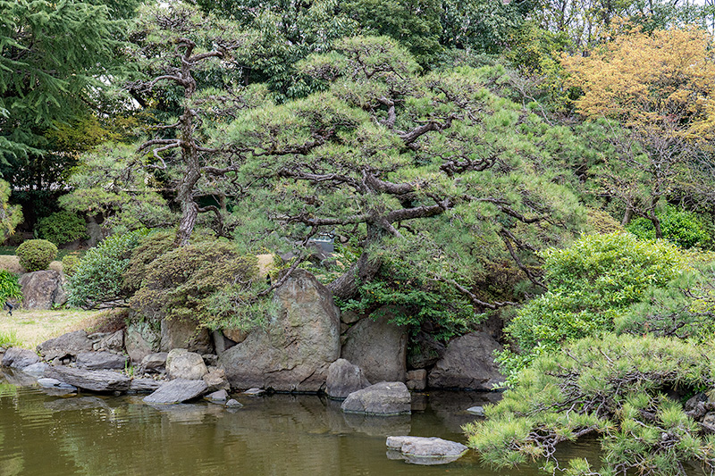 荒磯