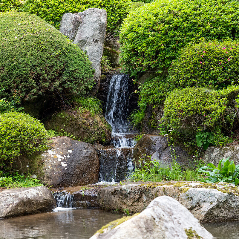 昭和に作庭された庭園の滝石組をクローズアップ