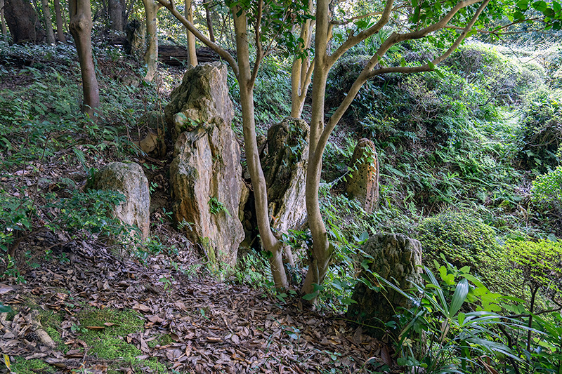 蓬莱山