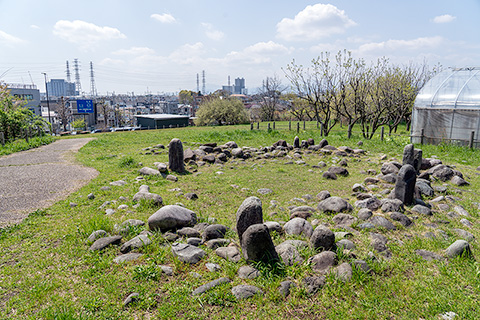田端環状積石遺構