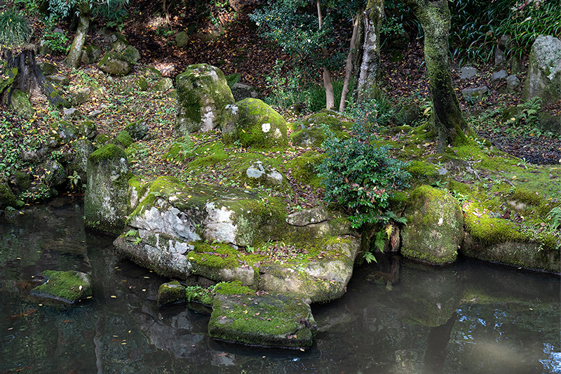 亀島