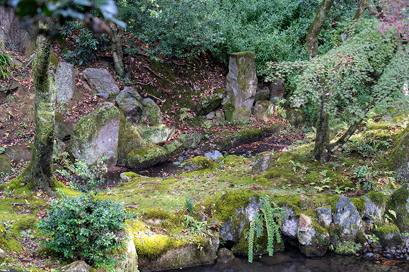太田川