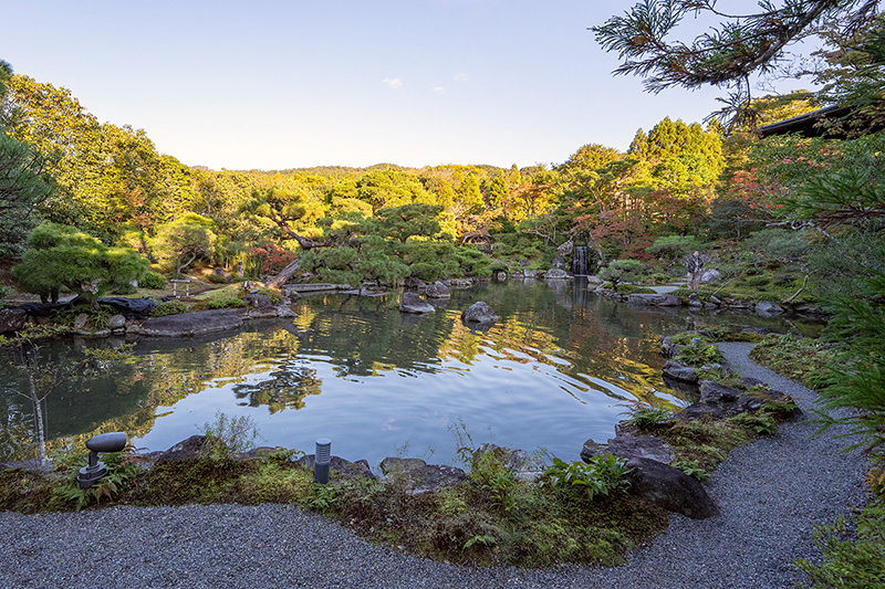 池泉