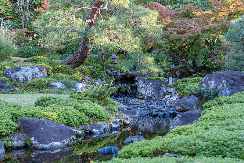 遣水