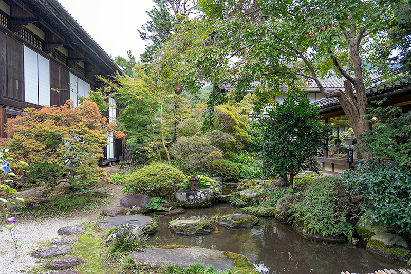 喫茶「龍潜」の側にある池泉庭園