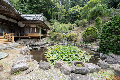 誕生寺