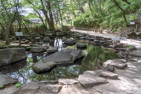 哲学堂公園