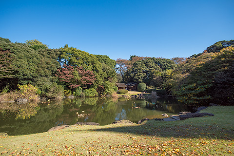 東京国立博物館　庭園