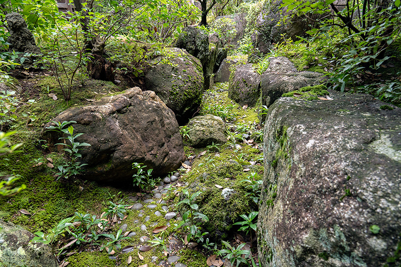 枯山水