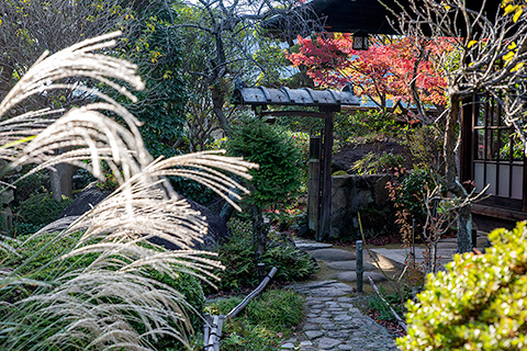 うどん本陣 山田家