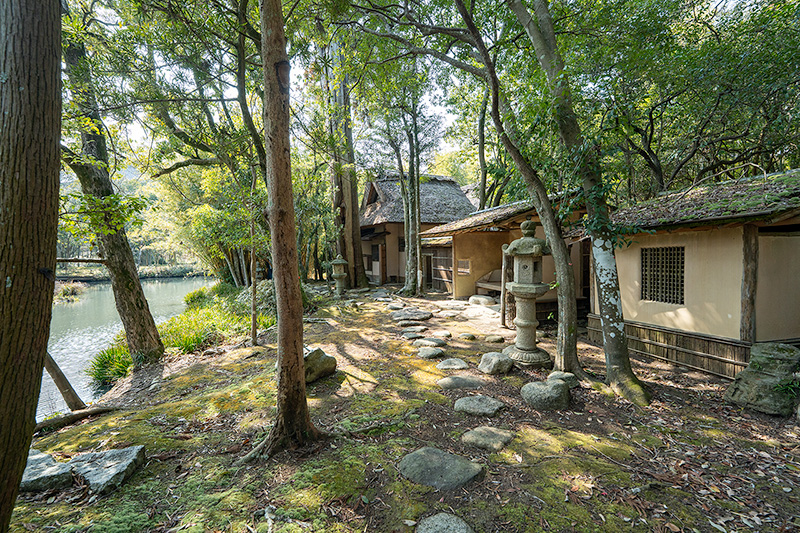 池泉に面した内露地