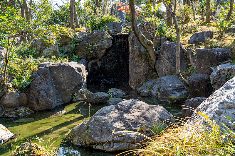茶花園の滝石組