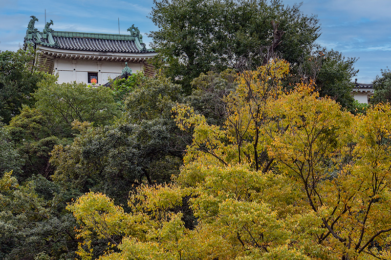 和歌山城の天守を望む