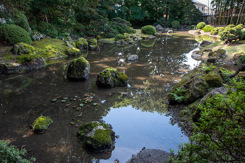 地割りの美しさこそが光禅寺庭園の魅力