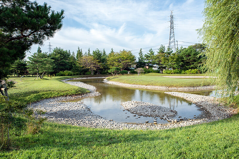池泉には大きな中島が作られている
