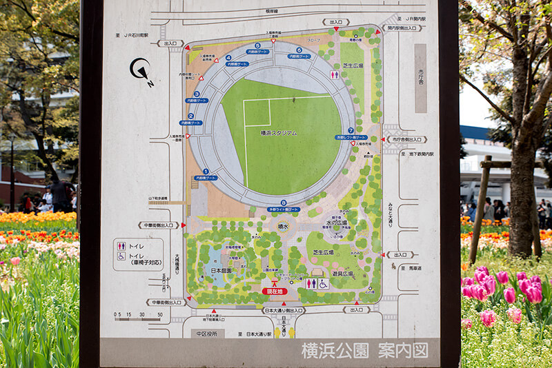 横浜公園の案内図