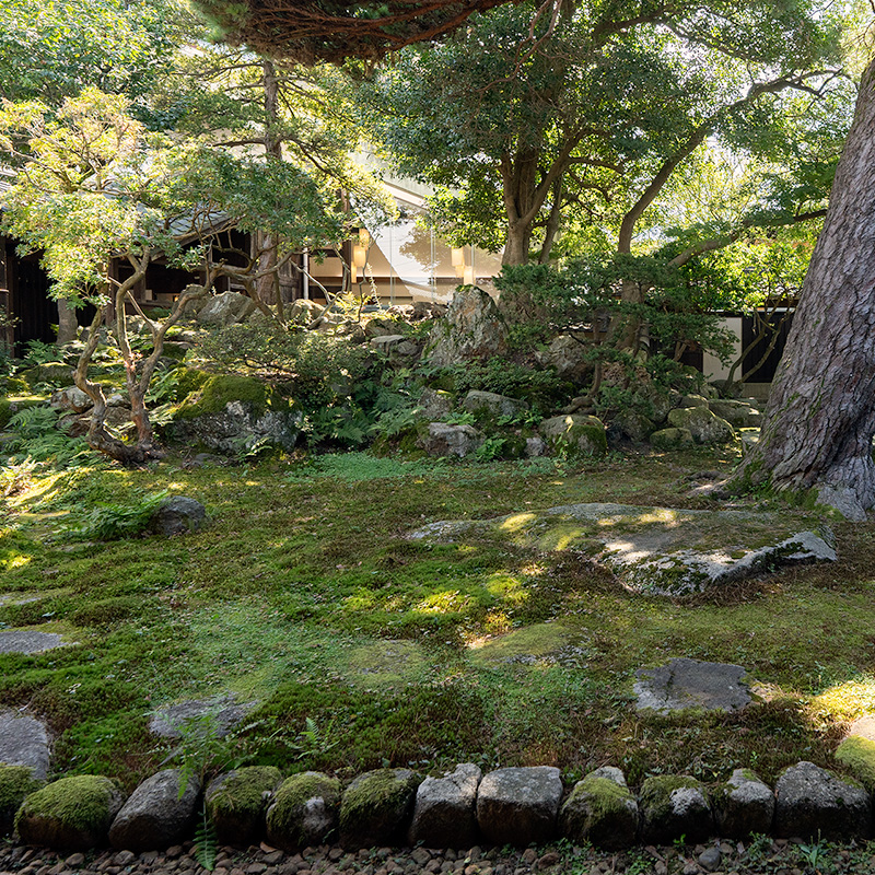 苔の平庭