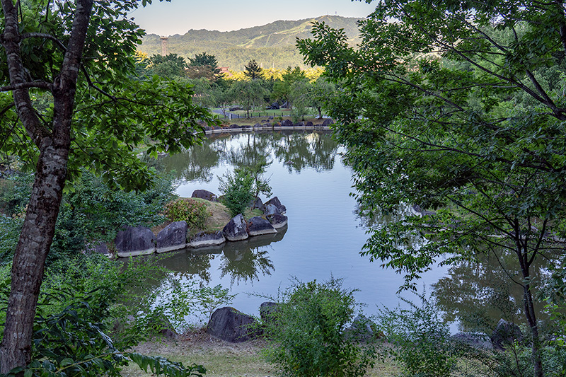 魚沼丘陵を借景