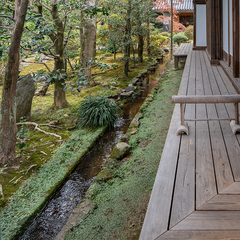 奥書院西側の水路
